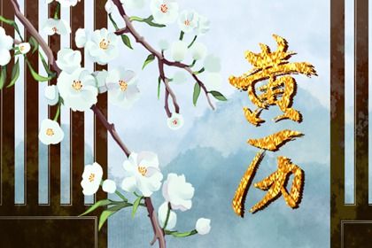 2029年08月24日结婚黄历查询 2029年08月24日结婚黄历查询