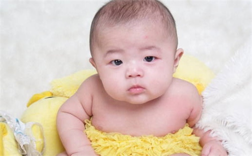杨姓女孩子起名技巧：2026年08月13日生辰八字取名指南